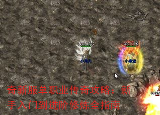 奇新服单职业传奇攻略:新手入门到进阶修炼全指南 奇新服单职业传奇攻略:新手入门到进阶修炼全指南