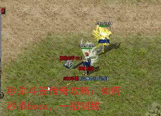 秒杀斗笠传奇攻略:如何秒杀boss,一招制敌 秒杀斗笠传奇攻略:如何秒杀boss,一招制敌