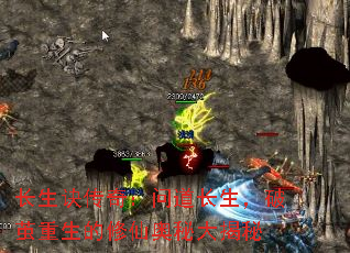 长生诀传奇:问道长生,破茧重生的修仙奥秘大揭秘 长生诀传奇:问道长生,破茧重生的修仙奥秘大揭秘