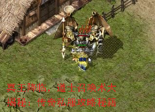 冥王降临,道士召唤术大揭秘:传奇私服攻略秘籍 冥王降临,道士召唤术大揭秘:传奇私服攻略秘籍