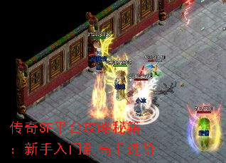 传奇SF平台攻略秘籍:新手入门到高手进阶 传奇SF平台攻略秘籍:新手入门到高手进阶