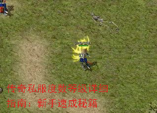 传奇私服度数等级详细指南:新手速成秘籍 传奇私服度数等级详细指南:新手速成秘籍