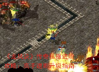 《龙凤诀》传奇私服进阶攻略:高手速刷升级指南 《龙凤诀》传奇私服进阶攻略:高手速刷升级指南