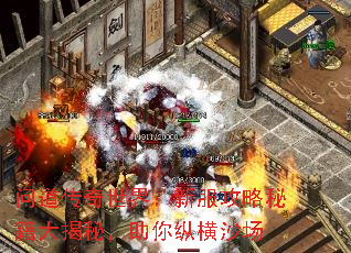 问道传奇世界:新服攻略秘籍大揭秘,助你纵横沙场 问道传奇世界:新服攻略秘籍大揭秘,助你纵横沙场