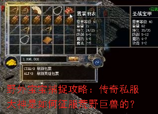 野外宝宝捕捉攻略:传奇私服大神是如何征服荒野巨兽的? 野外宝宝捕捉攻略:传奇私服大神是如何征服荒野巨兽的?