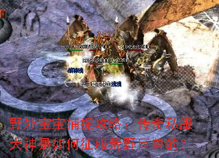 野外宝宝捕捉攻略:传奇私服大神是如何征服荒野巨兽的? 野外宝宝捕捉攻略:传奇私服大神是如何征服荒野巨兽的?