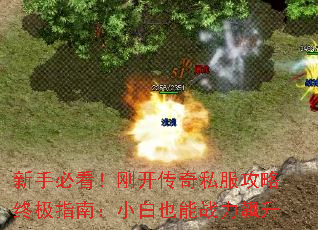 ֱؿտ˽ռָϣСҲս