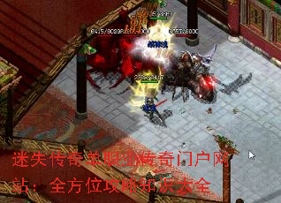 ʧ浥ְҵŻվȫλ֪ʶȫ