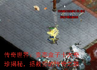 传奇世界:变态盒子十大奇珍揭秘,拯救你的传奇之路 传奇世界:变态盒子十大奇珍揭秘,拯救你的传奇之路