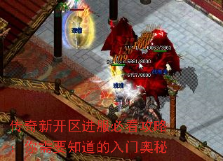 传奇新开区进服必看攻略:你需要知道的入门奥秘 传奇新开区进服必看攻略:你需要知道的入门奥秘