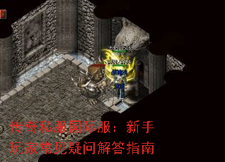 传奇私服国际服:新手玩家常见疑问解答指南 传奇私服国际服:新手玩家常见疑问解答指南