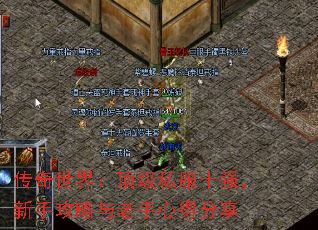 传奇世界:顶级私服十强,新手攻略与老手心得分享 传奇世界:顶级私服十强,新手攻略与老手心得分享