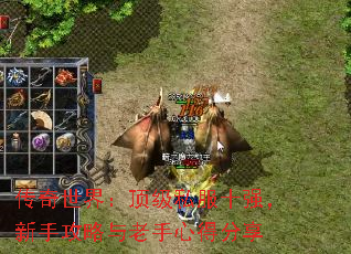 传奇世界:顶级私服十强,新手攻略与老手心得分享 传奇世界:顶级私服十强,新手攻略与老手心得分享