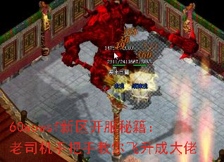 60wowsf新区开服秘籍:老司机手把手教你飞升成大佬 60wowsf新区开服秘籍:老司机手把手教你飞升成大佬