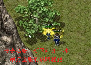 传奇私服:新区刚开一秒,吊打全服的攻略秘籍 传奇私服:新区刚开一秒,吊打全服的攻略秘籍