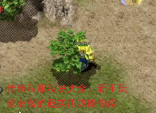 传奇私服私发大全:新手玩家必备的超实用攻略指南 传奇私服私发大全:新手玩家必备的超实用攻略指南