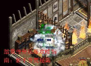 踏雪传奇私服攻略指南:新手开荒秘籍 踏雪传奇私服攻略指南:新手开荒秘籍