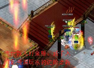 传奇散人打金服:新手入门到资深玩家的进阶之路 传奇散人打金服:新手入门到资深玩家的进阶之路