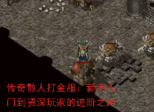 传奇散人打金服:新手入门到资深玩家的进阶之路 传奇散人打金服:新手入门到资深玩家的进阶之路