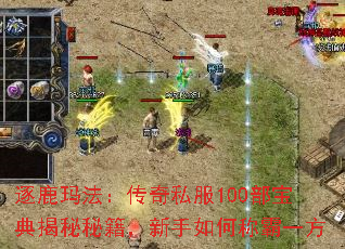 逐鹿玛法:传奇私服100部宝典揭秘秘籍,新手如何称霸一方 逐鹿玛法:传奇私服100部宝典揭秘秘籍,新手如何称霸一方