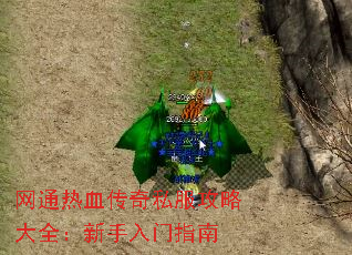 网通热血<a href=