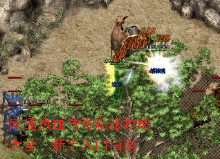 网通热血传奇私服攻略大全:新手入门指南 网通热血传奇私服攻略大全:新手入门指南