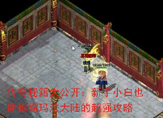 ؼ󹫿СҲܳư귨½ĳǿ