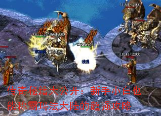 ؼ󹫿СҲܳư귨½ĳǿ