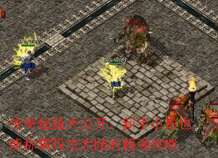 ؼ󹫿СҲܳư귨½ĳǿ