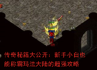 ؼ󹫿СҲܳư귨½ĳǿ