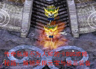 ˽Ϊ֪ĿBUGؼԪ뼫Ʒװ