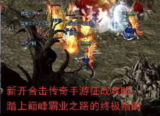 ¿ϻսԣ̤۷ҵ֮·ռָ