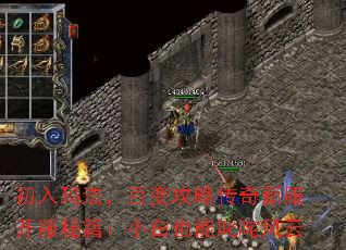 初入玛法,百变攻略传奇新服开服秘籍:小白也能叱咤风云 初入玛法,百变攻略传奇新服开服秘籍:小白也能叱咤风云