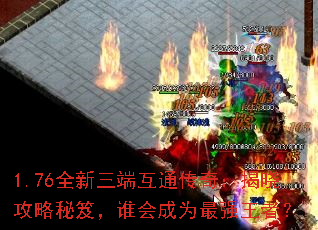 1.76ȫ˻ͨ棺ţ˭Ϊǿߣ