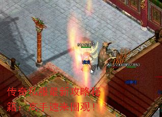 传奇私服最新攻略秘籍:高手速来围观! 传奇私服最新攻略秘籍:高手速来围观!