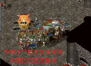 传奇十二职业极致攻略:称霸沙巴克的秘技 传奇十二职业极致攻略:称霸沙巴克的秘技