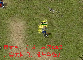 传奇霸主之路:裁决巅峰,实力问鼎,谁与争锋? 传奇霸主之路:裁决巅峰,实力问鼎,谁与争锋?