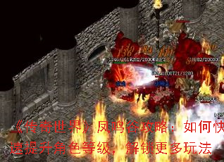 《传奇世界》凤鸣谷攻略:如何快速提升角色等级,解锁更多玩法 《传奇世界》凤鸣谷攻略:如何快速提升角色等级,解锁更多玩法