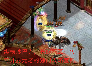 纵横沙巴克,长盛不衰:传奇开服元老的独门攻略宝典 纵横沙巴克,长盛不衰:传奇开服元老的独门攻略宝典