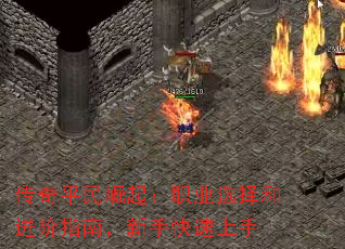 传奇平民崛起:职业选择和进阶指南,新手快速上手 传奇平民崛起:职业选择和进阶指南,新手快速上手