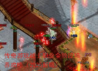 传奇游戏战士职业全阶段培养攻略(2025新版) 传奇游戏战士职业全阶段培养攻略(2025新版)