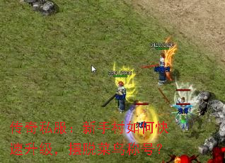 传奇私服:新手村如何快速升级,摆脱菜鸟称号? 传奇私服:新手村如何快速升级,摆脱菜鸟称号?