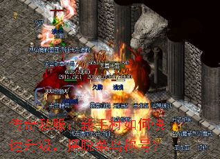 传奇私服:新手村如何快速升级,摆脱菜鸟称号? 传奇私服:新手村如何快速升级,摆脱菜鸟称号?