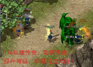 176私服传奇:如何快速提升等级,称霸玛法大陆? 176私服传奇:如何快速提升等级,称霸玛法大陆?