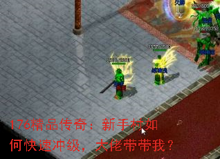 176精品传奇:新手村如何快速冲级,大佬带带我? 176精品传奇:新手村如何快速冲级,大佬带带我?