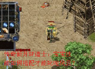 传奇新开SF道士:宝宝技能如何搭配才能叱咤风云? 传奇新开SF道士:宝宝技能如何搭配才能叱咤风云?