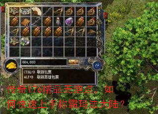传奇176精品无泡点,如何快速上手称霸玛法大陆? 传奇176精品无泡点,如何快速上手称霸玛法大陆?