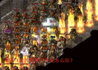 七彩飞龙传奇新手开局怎么玩? 七彩飞龙传奇新手开局怎么玩?