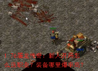 1.76棺˿ôѡְҵװﱬʸߣ