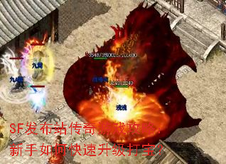 SF发布站传奇游戏攻略:新手如何快速升级打宝? SF发布站传奇游戏攻略:新手如何快速升级打宝?